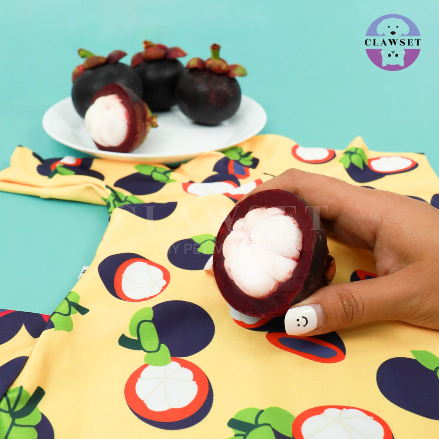 Clawset - Pet Fashion - Protection Suit - Fruity Collection - Mangosteen (Manggis)