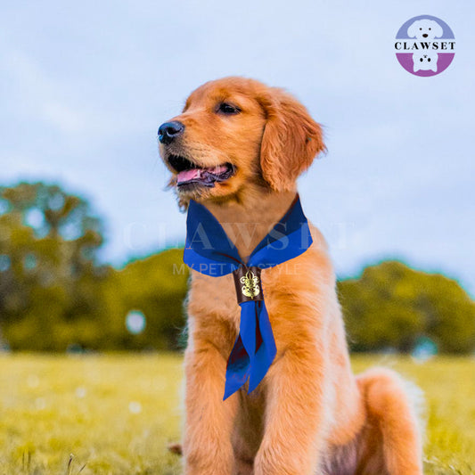 Clawset - Pet Scarf (Syal) - Scout Collection - Blue (Biru)