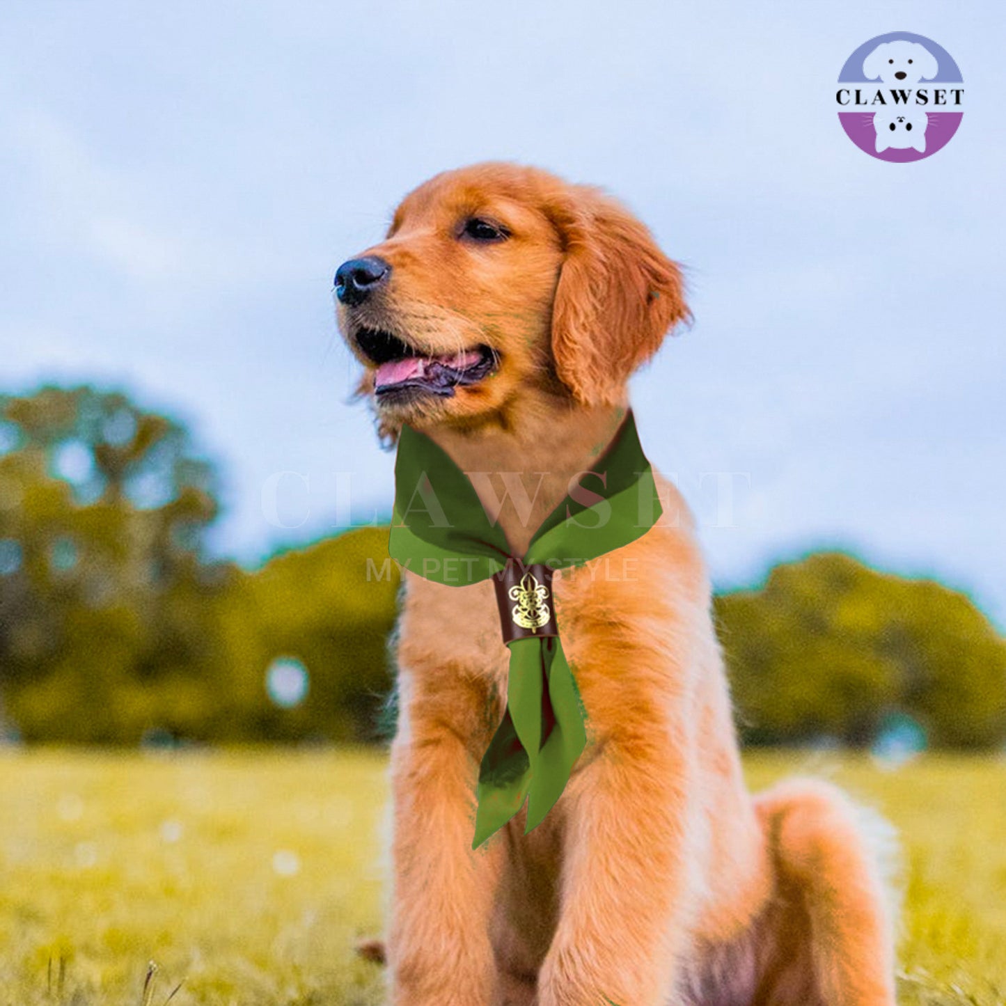 Clawset - Pet Scarf (Syal) - Scout Collection - Green (Hijau)