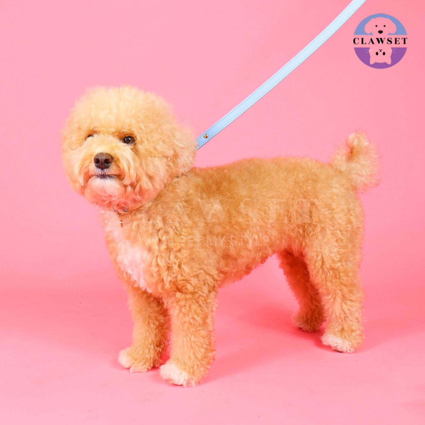 Clawset - Pet Accessories - Walking Leash - Blue (Biru)