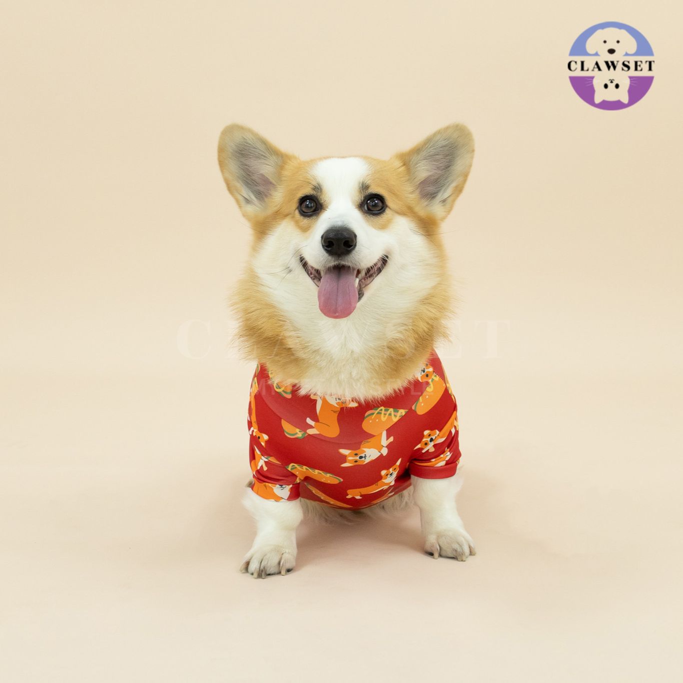 Clawset - Pet Fashion - Corgi Collection - Protection Suit - Red (Merah)