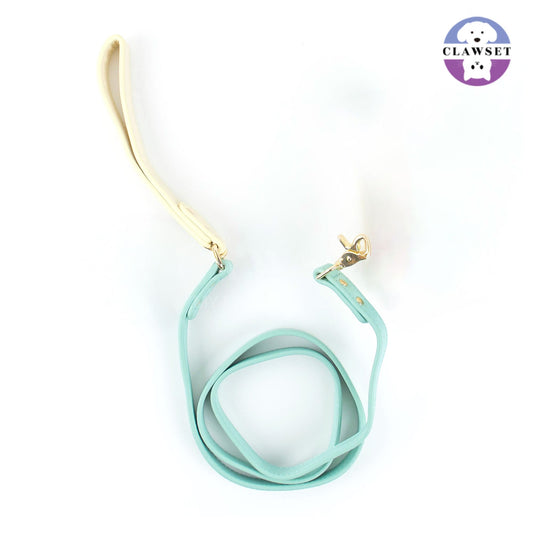 Clawset - Pet Accessories - Walking Leash - Mint