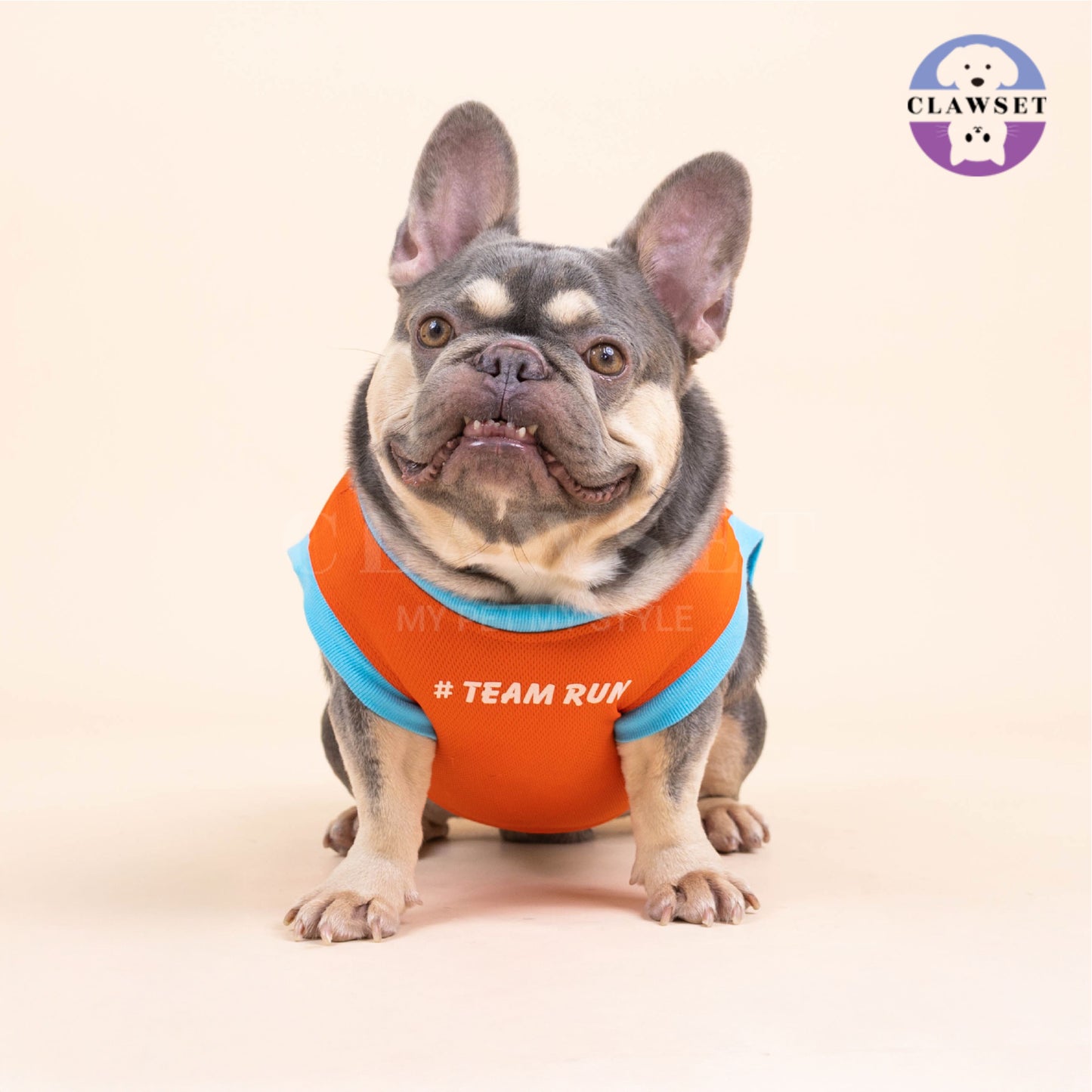 Clawset - Sporty Collection - Tank Top (Baju Anjing & Kucing) - Team Run (Orange)