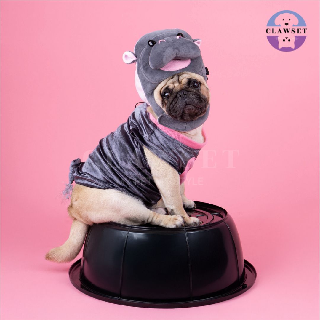 Clawset - Pet Costume - MooDeng - Costume Set