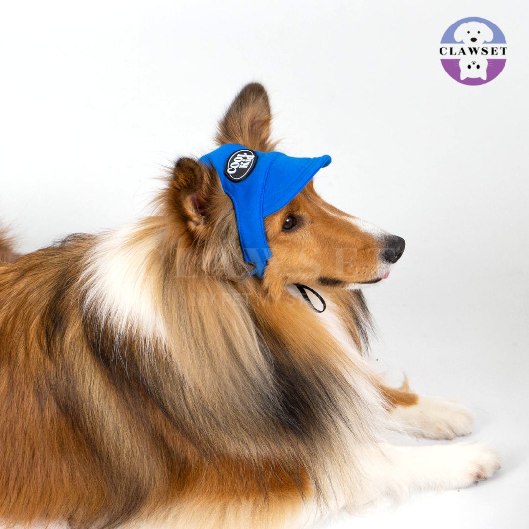 Clawset - Pet Hat (Topi Anjing & Kucing) - New Cool Kid Hat - Blue (Biru)
