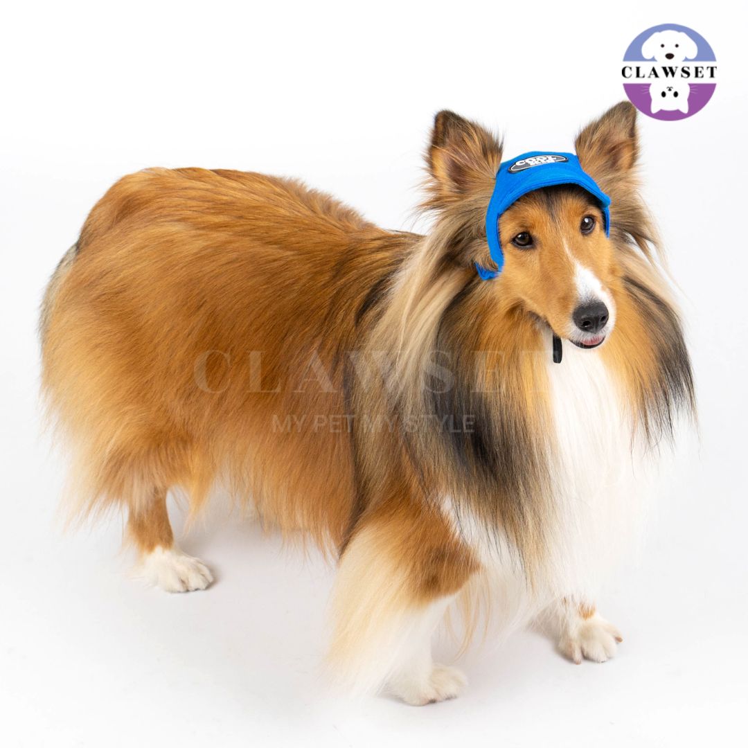 Clawset - Pet Hat (Topi Anjing & Kucing) - New Cool Kid Hat - Blue (Biru)