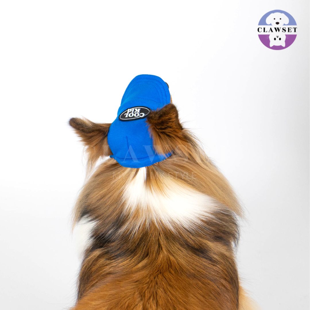 Clawset - Pet Hat (Topi Anjing & Kucing) - New Cool Kid Hat - Blue (Biru)