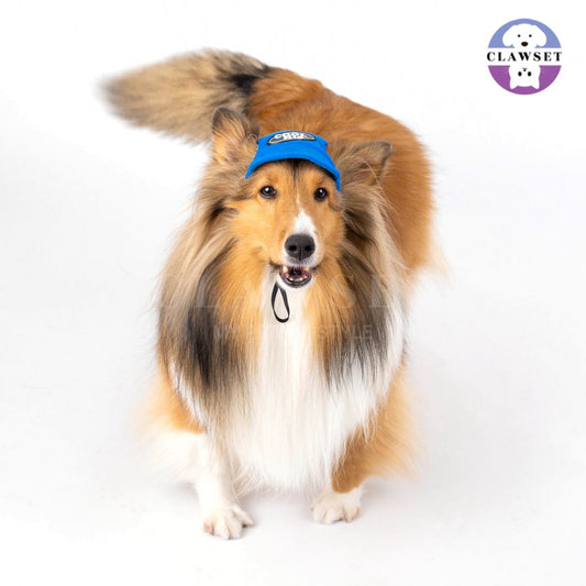 Clawset - Pet Hat (Topi Anjing & Kucing) - New Cool Kid Hat - Blue (Biru)