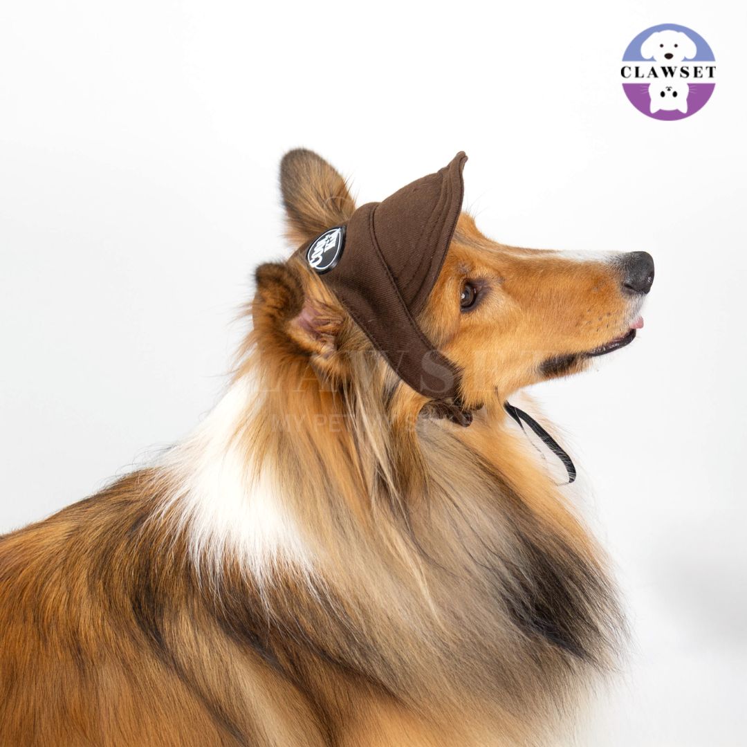 Clawset - Pet Hat (Topi Anjing & Kucing) - New Cool Kid Hat - Brown (Coklat)