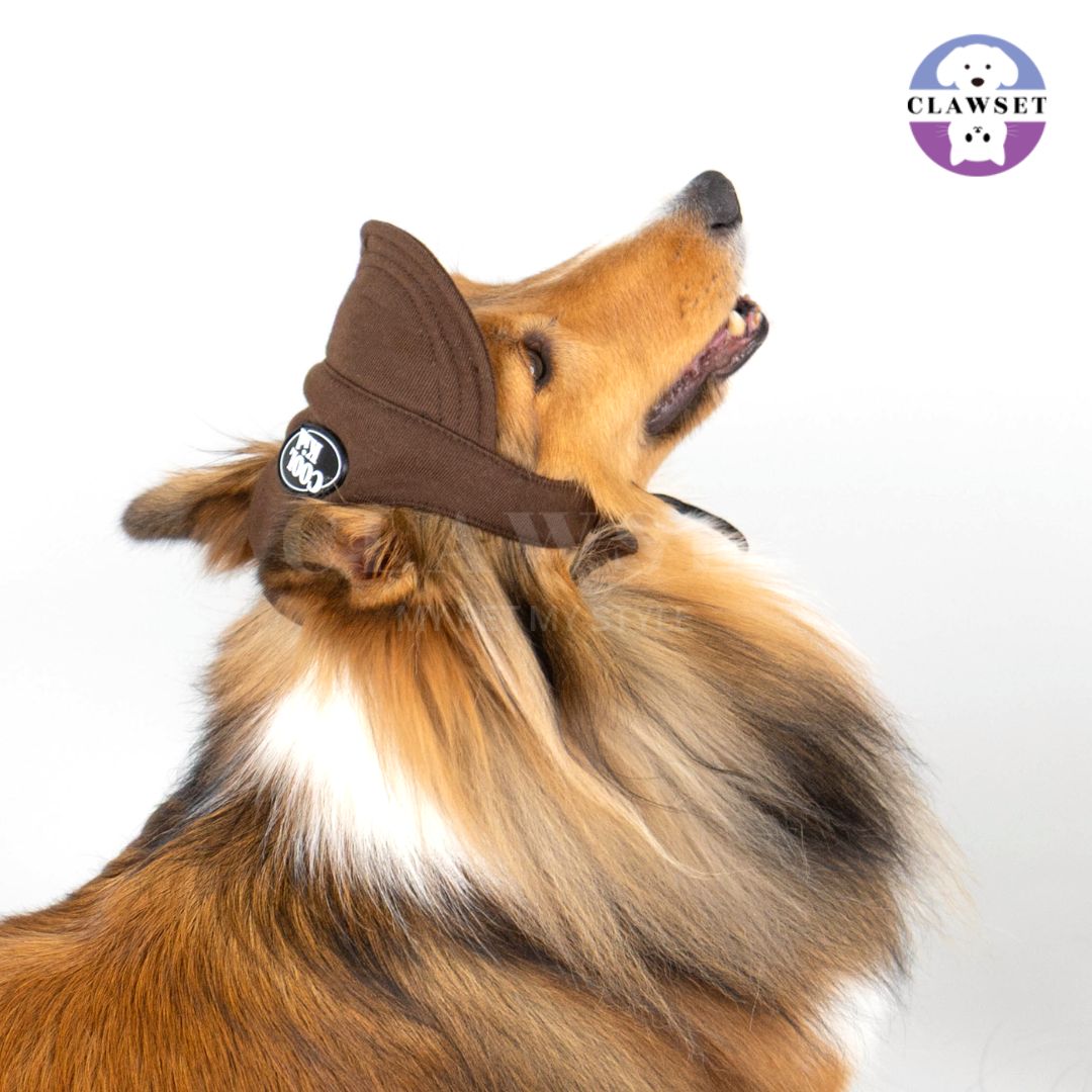 Clawset - Pet Hat (Topi Anjing & Kucing) - New Cool Kid Hat - Brown (Coklat)
