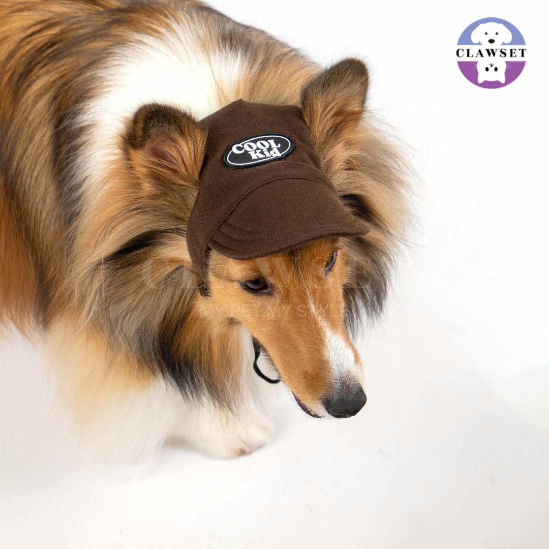 Clawset - Pet Hat (Topi Anjing & Kucing) - New Cool Kid Hat - Brown (Coklat)