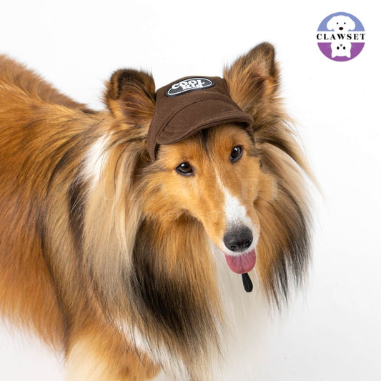 Clawset - Pet Hat (Topi Anjing & Kucing) - New Cool Kid Hat - Brown (Coklat)