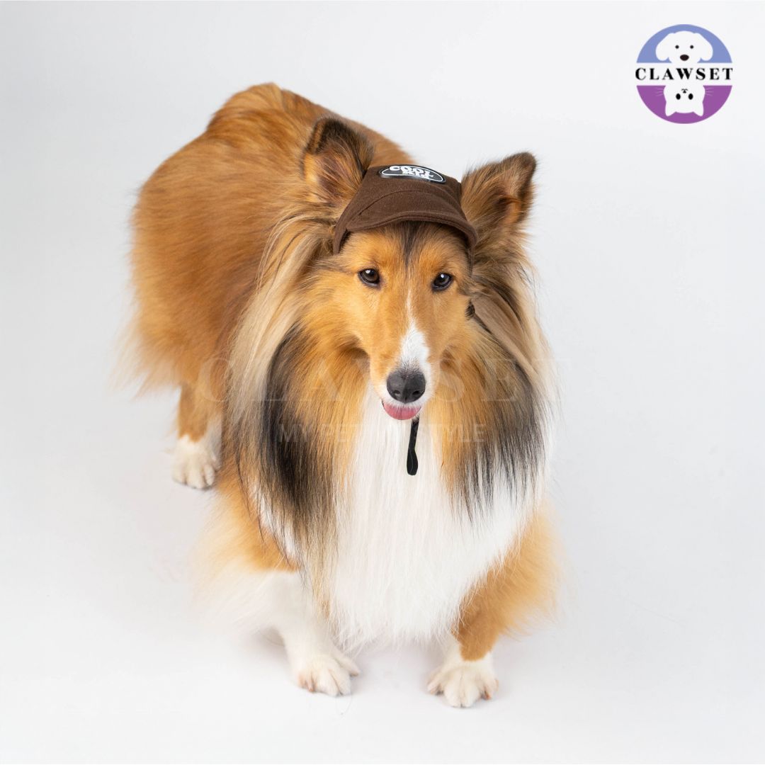 Clawset - Pet Hat (Topi Anjing & Kucing) - New Cool Kid Hat - Brown (Coklat)