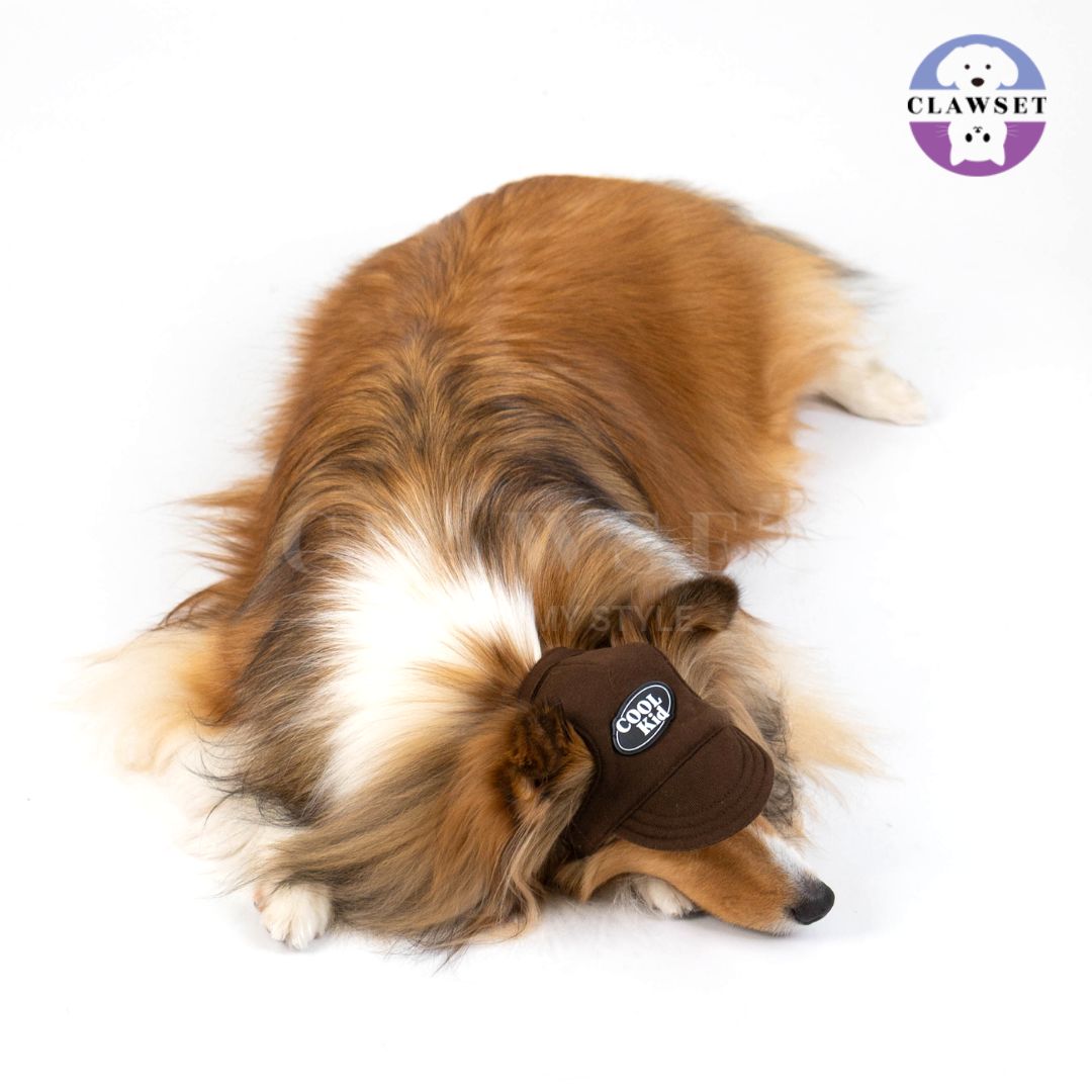 Clawset - Pet Hat (Topi Anjing & Kucing) - New Cool Kid Hat - Brown (Coklat)