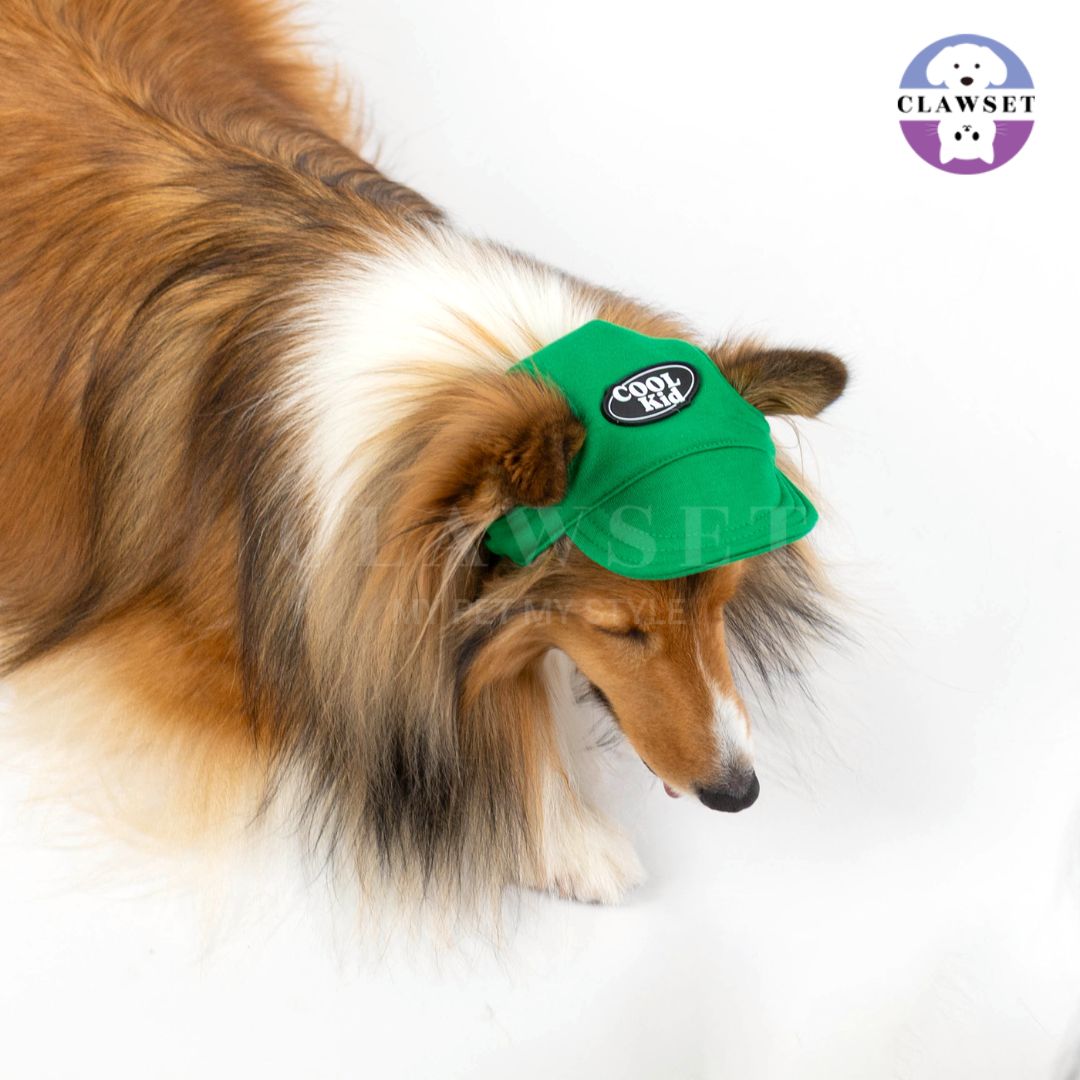 Clawset - Pet Hat (Topi Anjing & Kucing) - New Cool Kid Hat - Green (Hijau)