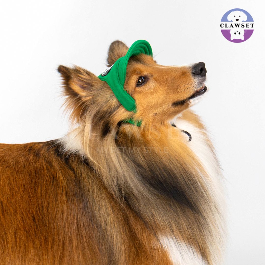 Clawset - Pet Hat (Topi Anjing & Kucing) - New Cool Kid Hat - Green (Hijau)