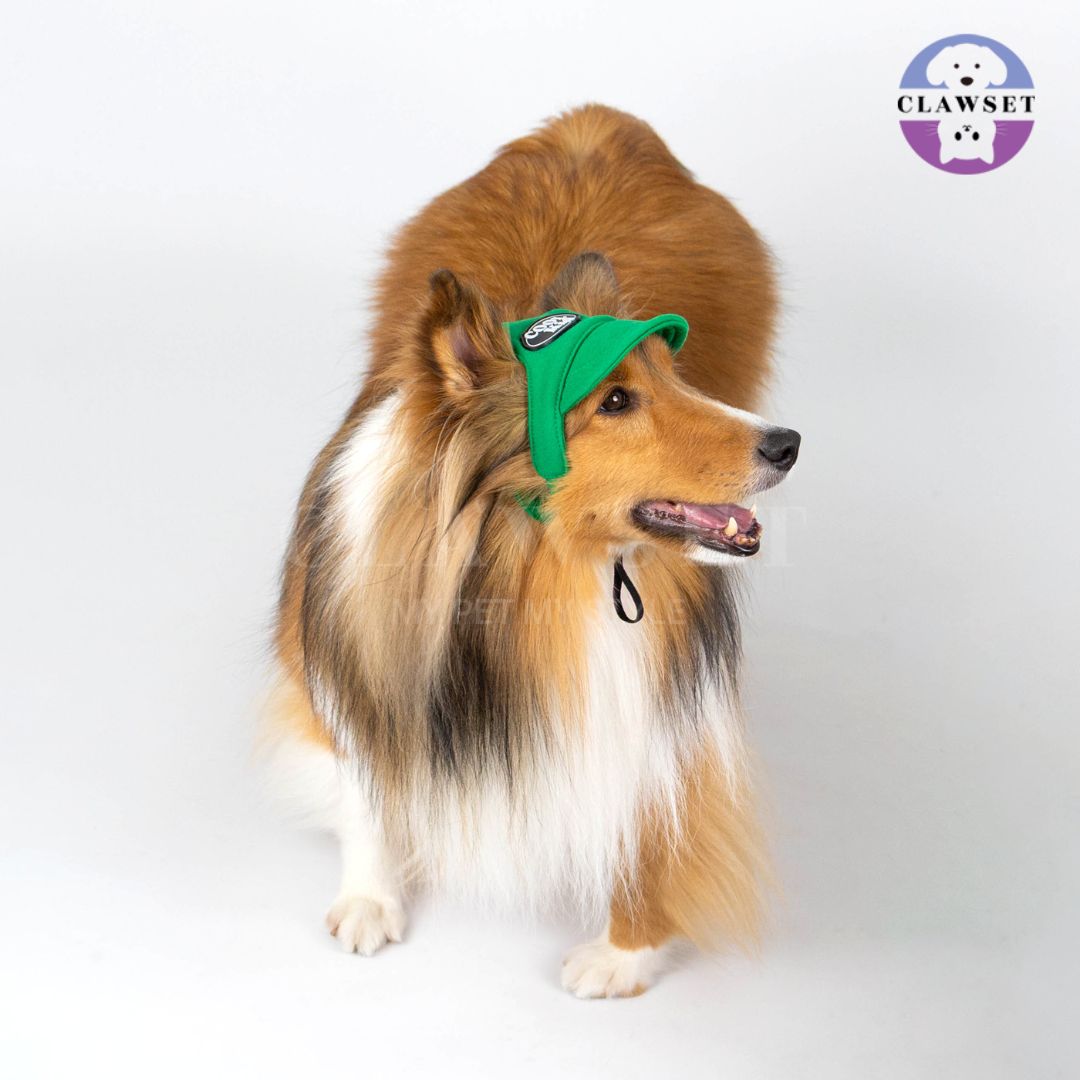 Clawset - Pet Hat (Topi Anjing & Kucing) - New Cool Kid Hat - Green (Hijau)