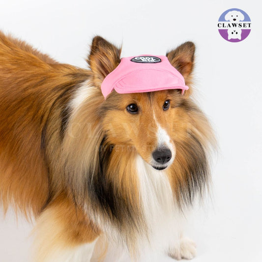 Clawset - Pet Hat (Topi Anjing & Kucing) - New Cool Kid Hat - Pink (Merah Muda)