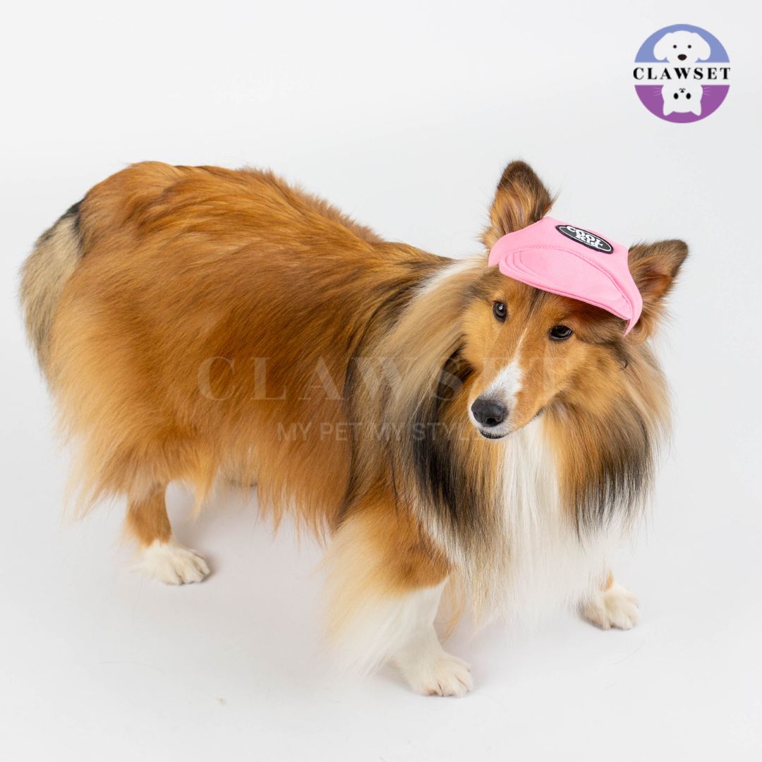 Clawset - Pet Hat (Topi Anjing & Kucing) - New Cool Kid Hat - Pink (Merah Muda)
