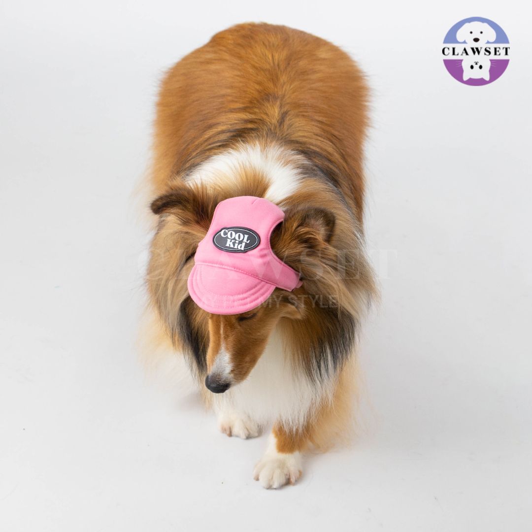 Clawset - Pet Hat (Topi Anjing & Kucing) - New Cool Kid Hat - Pink (Merah Muda)