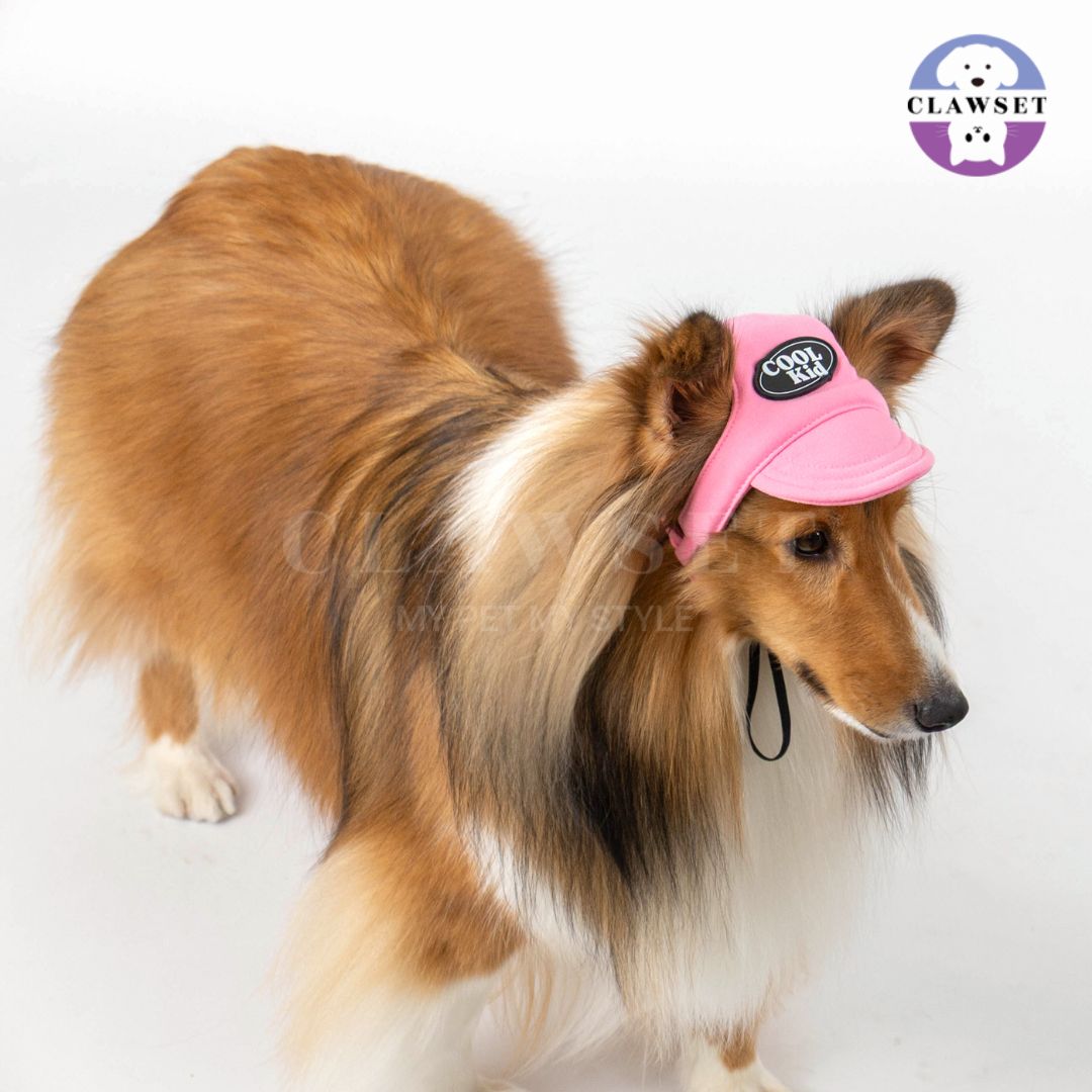 Clawset - Pet Hat (Topi Anjing & Kucing) - New Cool Kid Hat - Pink (Merah Muda)