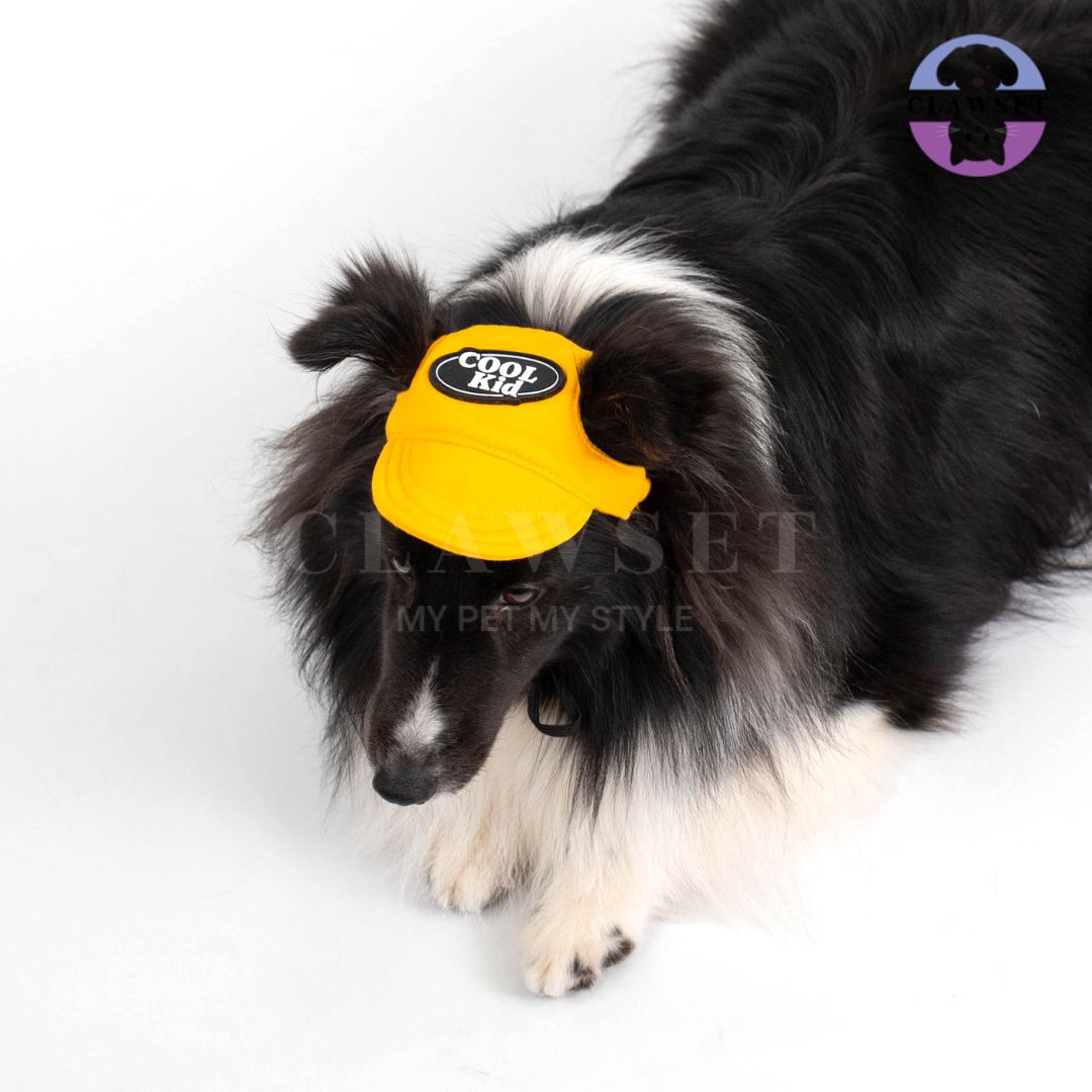 Clawset - Pet Hat (Topi Anjing & Kucing) - New Cool Kid Hat - Yellow (Kuning)