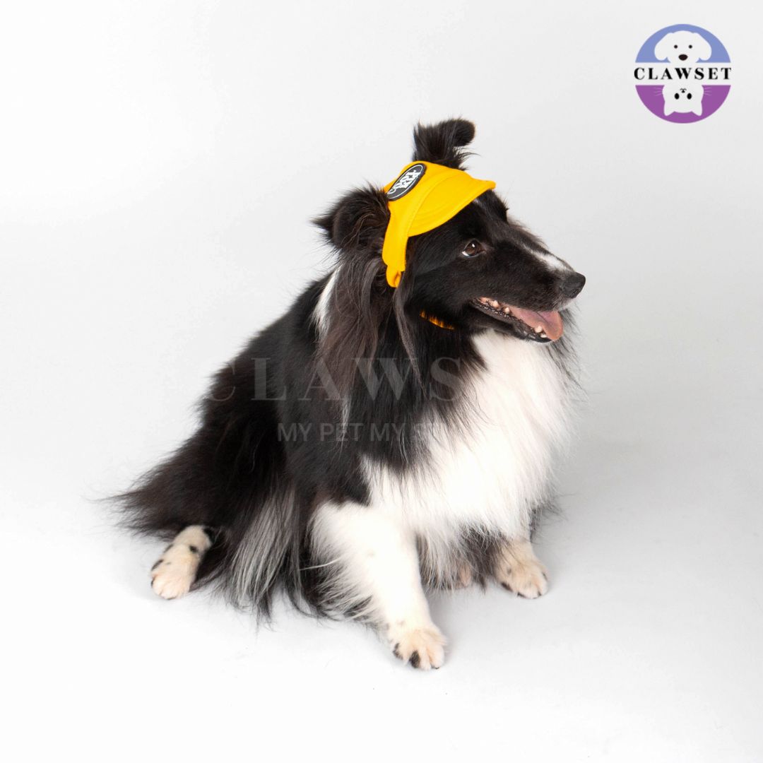Clawset - Pet Hat (Topi Anjing & Kucing) - New Cool Kid Hat - Yellow (Kuning)