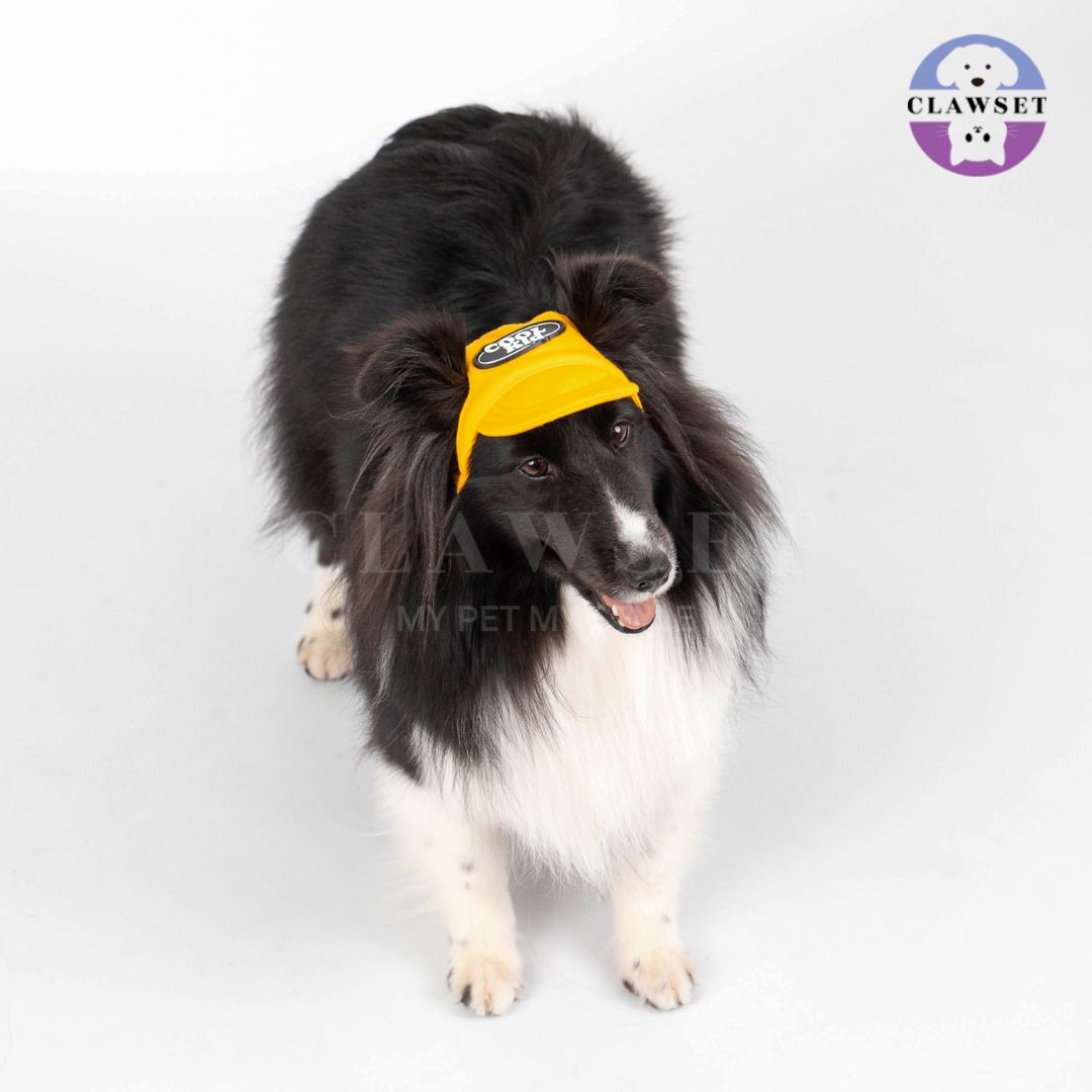 Clawset - Pet Hat (Topi Anjing & Kucing) - New Cool Kid Hat - Yellow (Kuning)