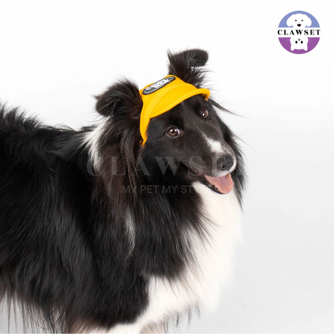 Clawset - Pet Hat (Topi Anjing & Kucing) - New Cool Kid Hat - Yellow (Kuning)
