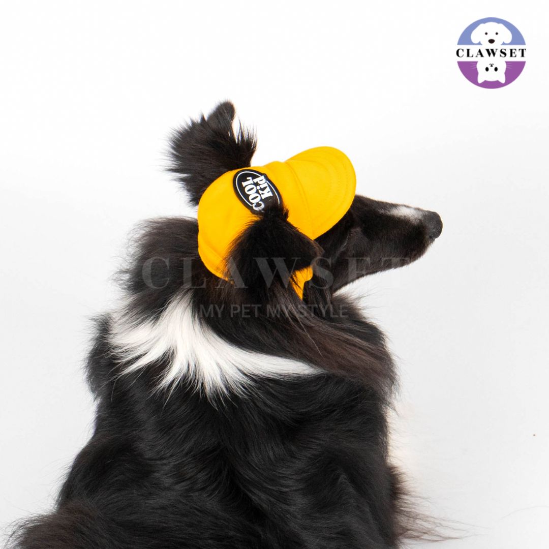 Clawset - Pet Hat (Topi Anjing & Kucing) - New Cool Kid Hat - Yellow (Kuning)
