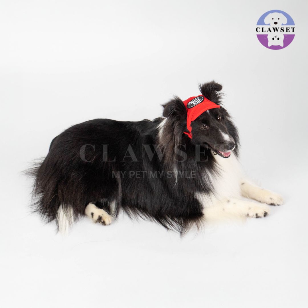 Clawset - Pet Hat (Topi Anjing & Kucing) - New Cool Kid Hat - Red (Merah)