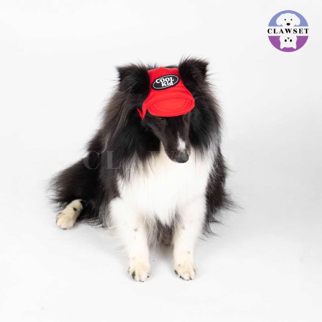 Clawset - Pet Hat (Topi Anjing & Kucing) - New Cool Kid Hat - Red (Merah)