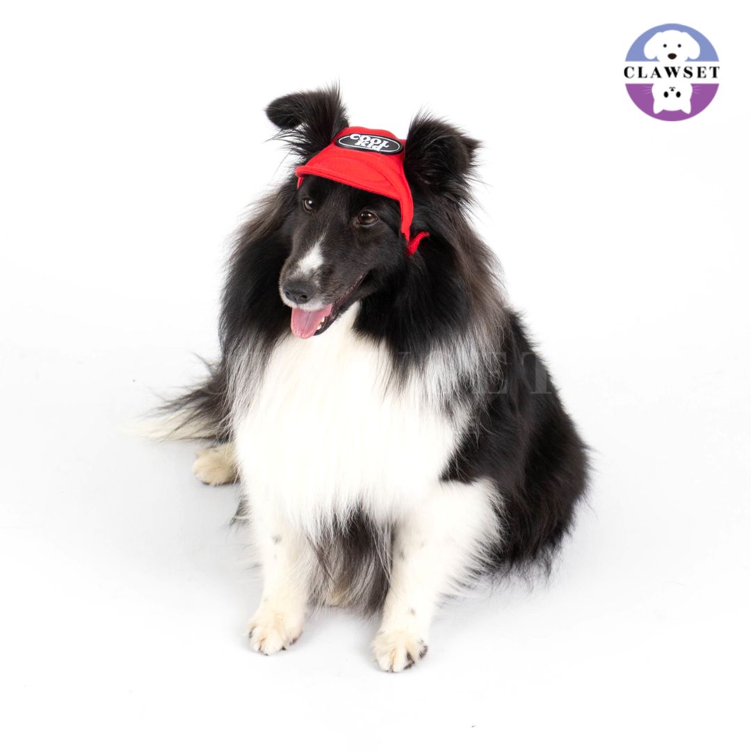 Clawset - Pet Hat (Topi Anjing & Kucing) - New Cool Kid Hat - Red (Merah)