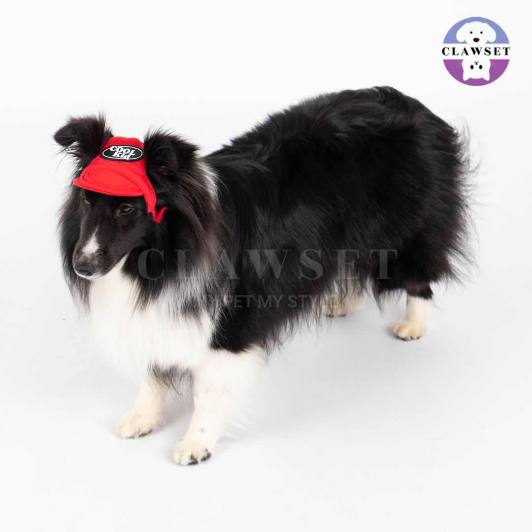 Clawset - Pet Hat (Topi Anjing & Kucing) - New Cool Kid Hat - Red (Merah)