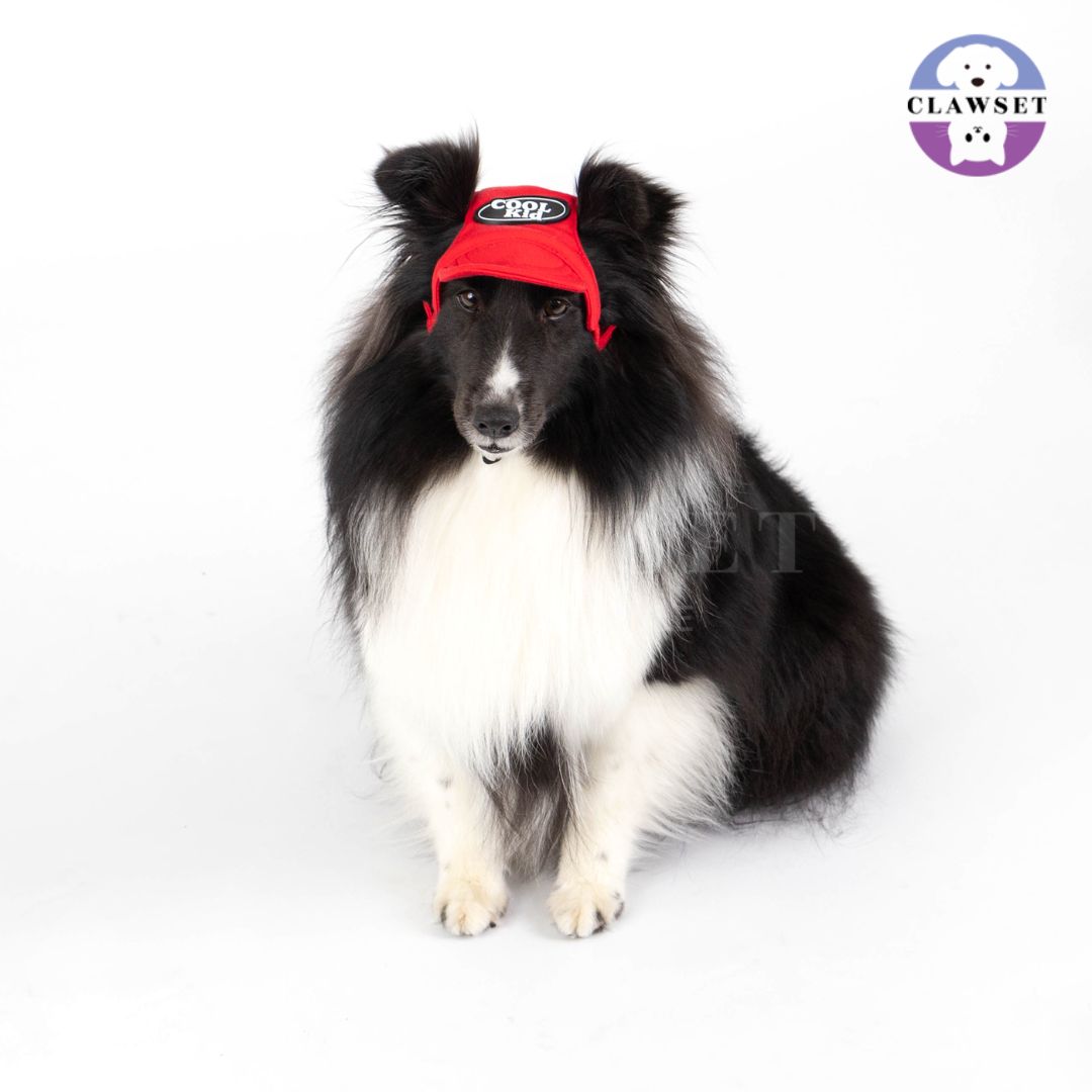 Clawset - Pet Hat (Topi Anjing & Kucing) - New Cool Kid Hat - Red (Merah)