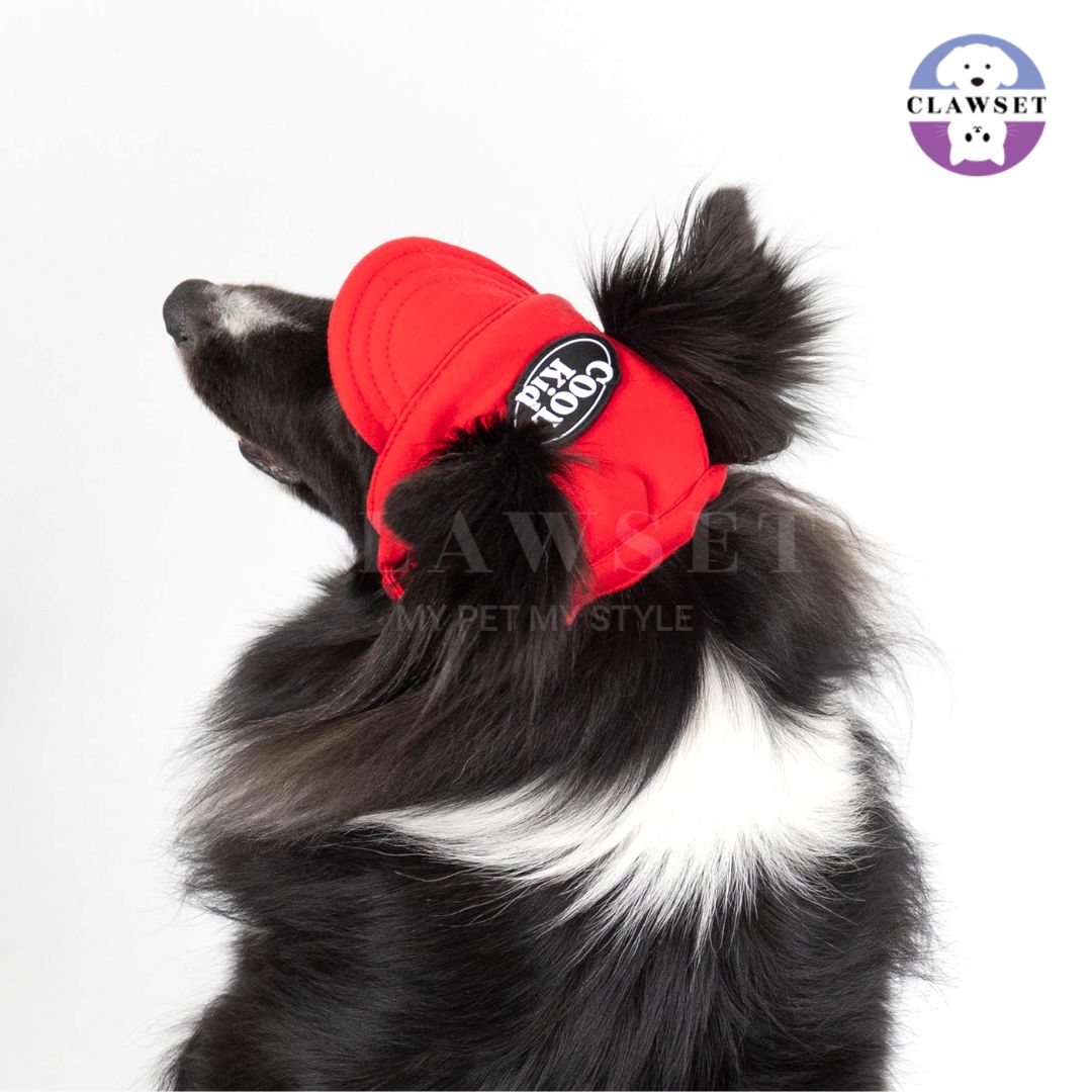 Clawset - Pet Hat (Topi Anjing & Kucing) - New Cool Kid Hat - Red (Merah)