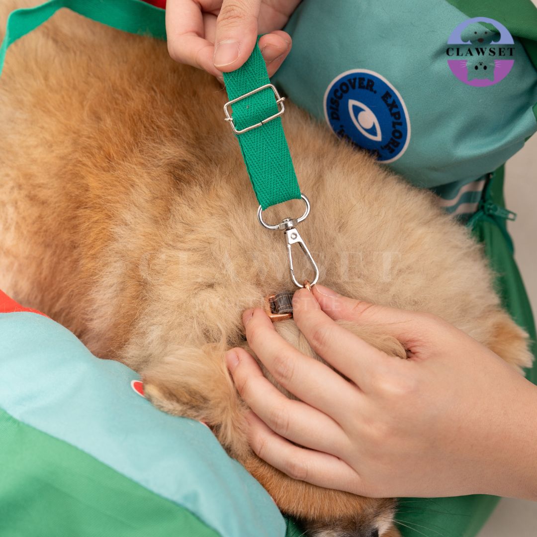 Clawset - 3 in 1 Pet Carrier (Tas Anjing & Kucing) Bag, Bed, Car Seat - Green