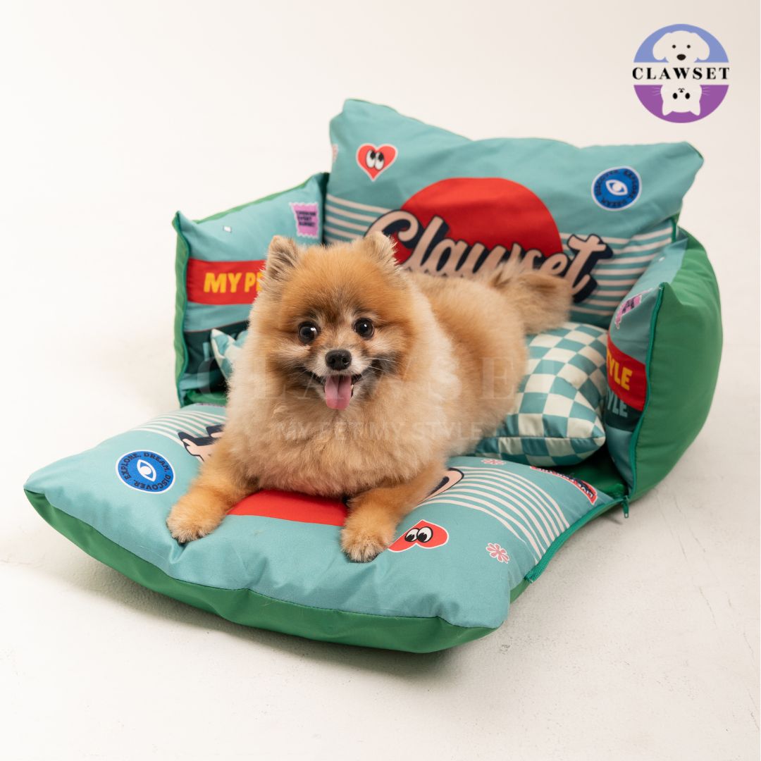 Clawset - 3 in 1 Pet Carrier (Tas Anjing & Kucing) Bag, Bed, Car Seat - Green