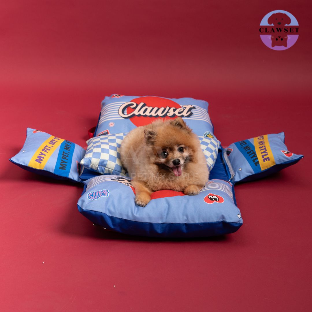 Clawset - 3 in 1 Pet Carrier (Tas Anjing & Kucing) Bag, Bed, Car Seat - Blue