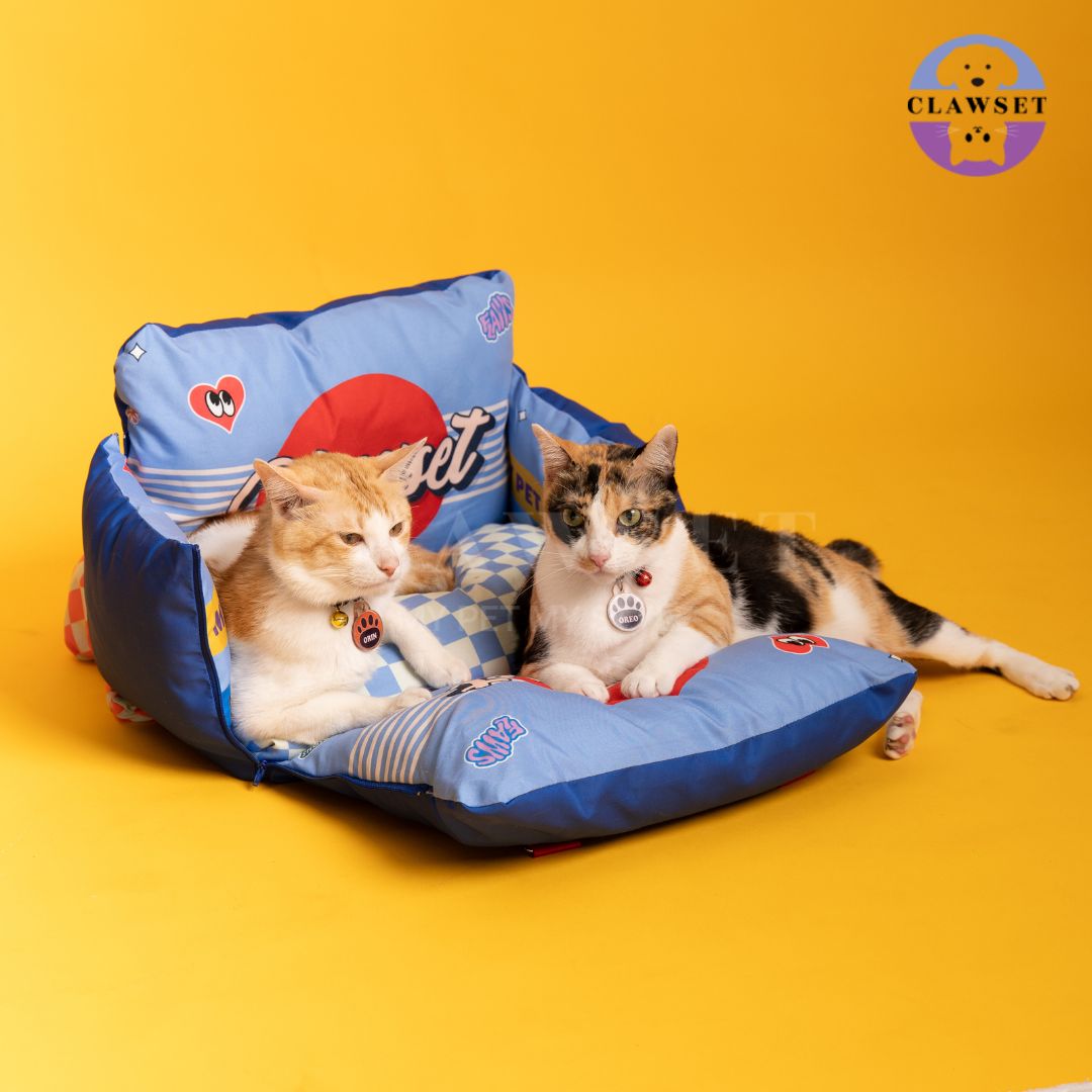 Clawset - 3 in 1 Pet Carrier (Tas Anjing & Kucing) Bag, Bed, Car Seat - Blue