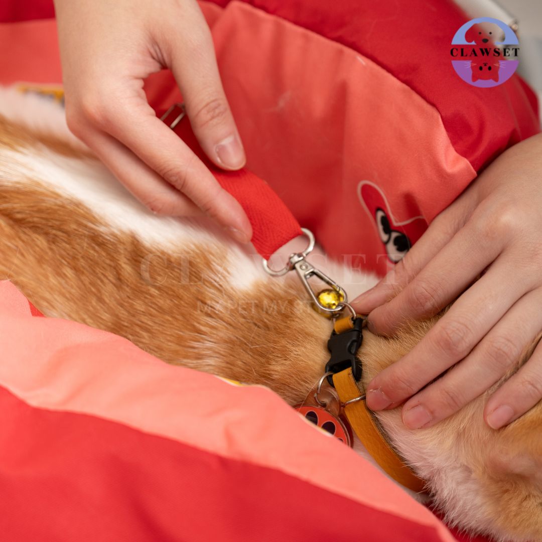 Clawset - 3 in 1 Pet Carrier (Tas Anjing & Kucing) Bag, Bed, Car Seat - Red