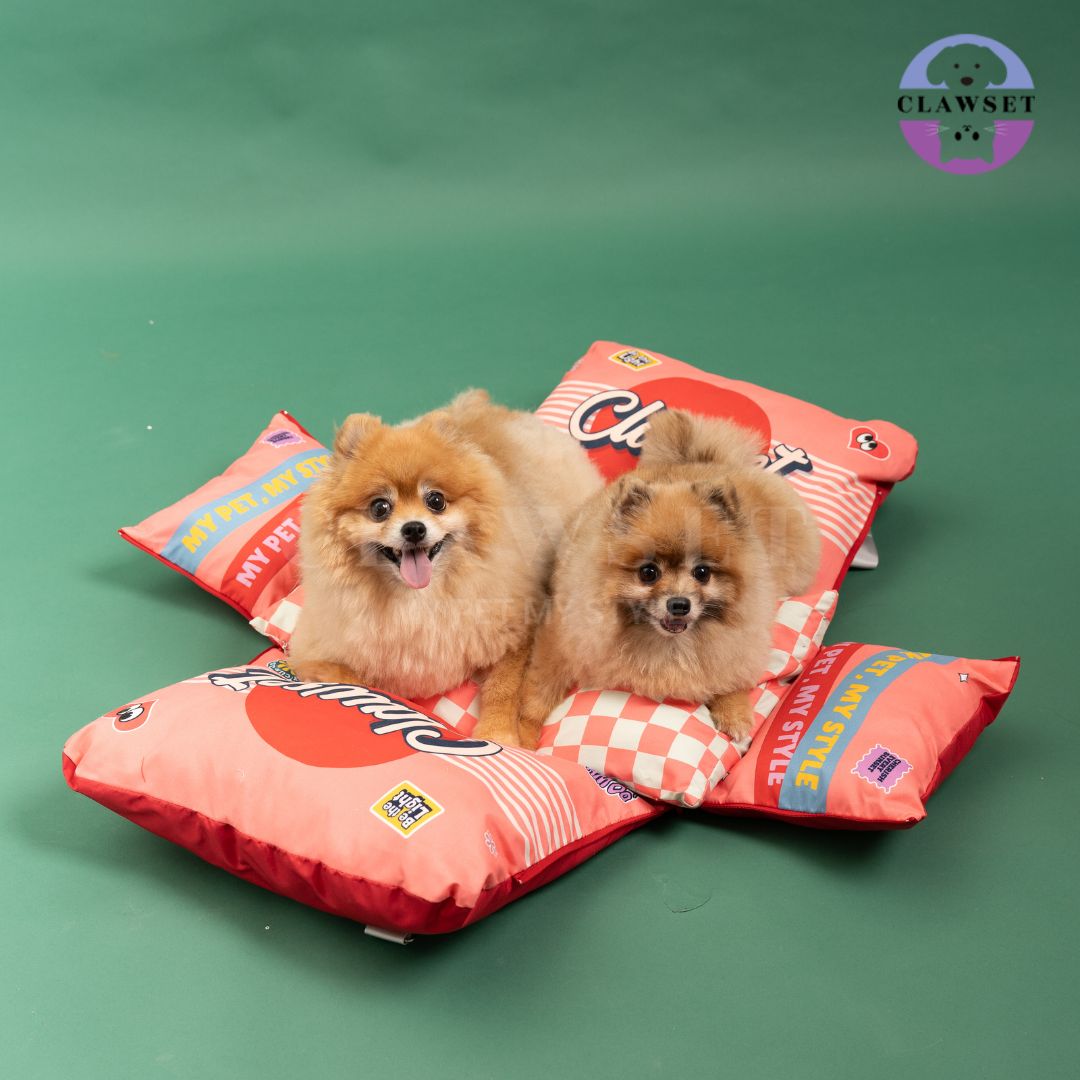 Clawset - 3 in 1 Pet Carrier (Tas Anjing & Kucing) Bag, Bed, Car Seat - Red