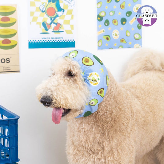 Clawset - Pet Snood (Penutup Telingan Anjing & Kucing) - Veggies - Avocado