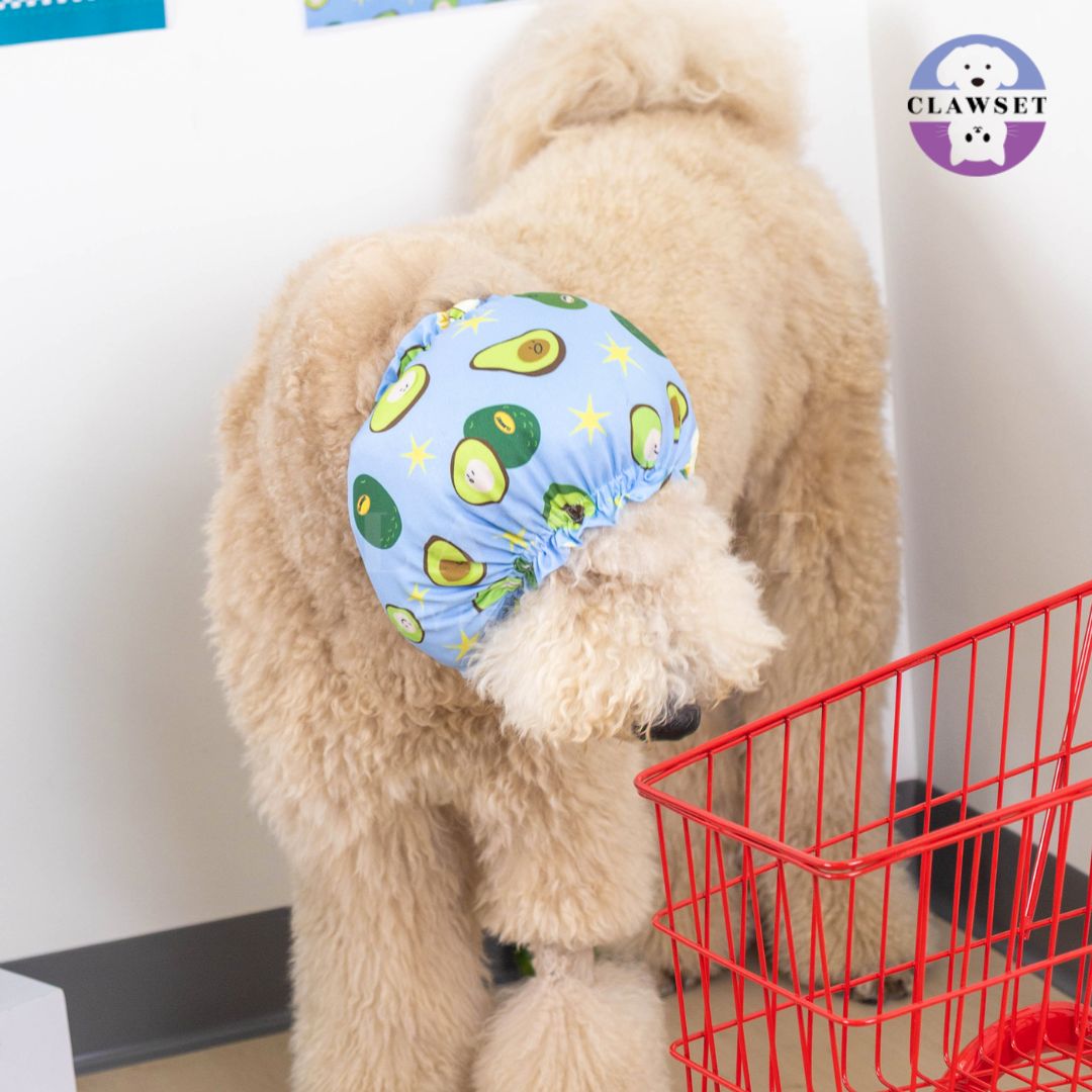 Clawset - Pet Snood (Penutup Telingan Anjing & Kucing) - Veggies - Avocado