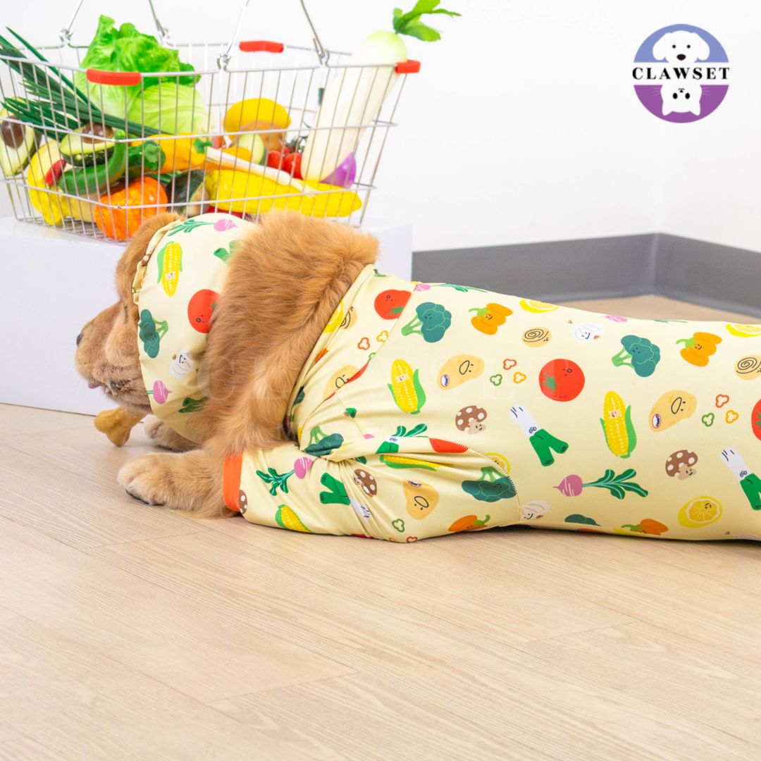 Clawset - Pet Snood (Penutup Telinga Anjing & Kucing) - Veggies - Salad