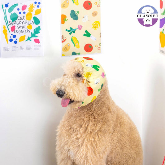 Clawset - Pet Snood (Penutup Telinga Anjing & Kucing) - Veggies - Salad
