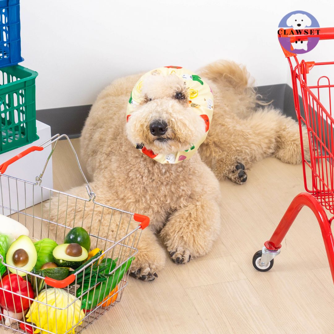 Clawset - Pet Snood (Penutup Telinga Anjing & Kucing) - Veggies - Salad