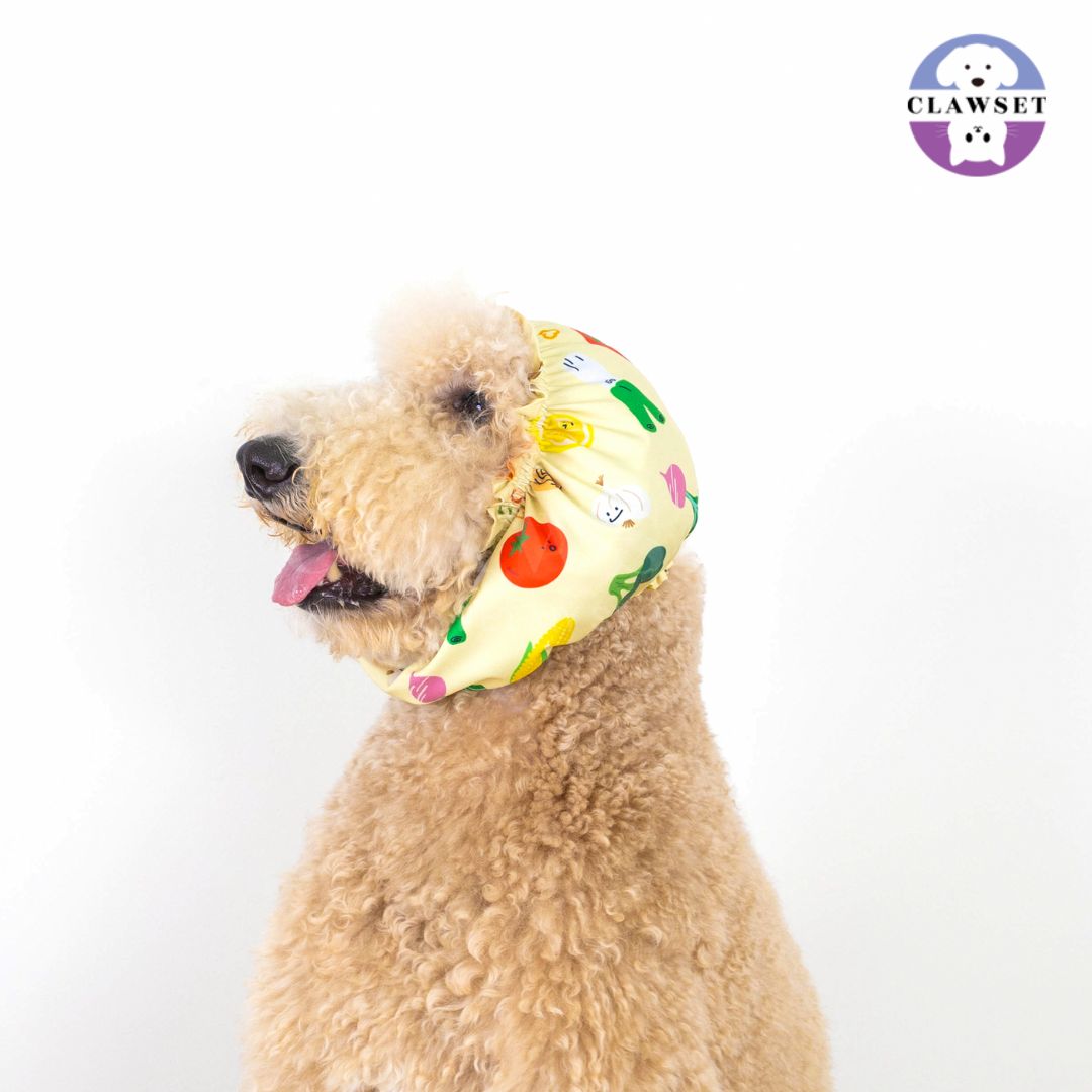 Clawset - Pet Snood (Penutup Telinga Anjing & Kucing) - Veggies - Salad