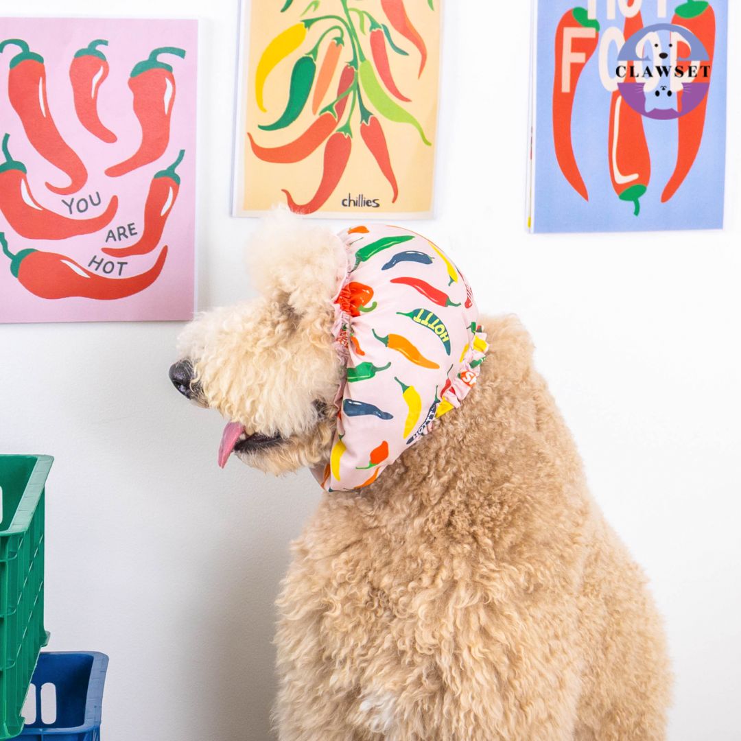 Clawset - Pet Snood (Penutup Telinga Anjing & Kucing) - Veggies - Spicy Chilli