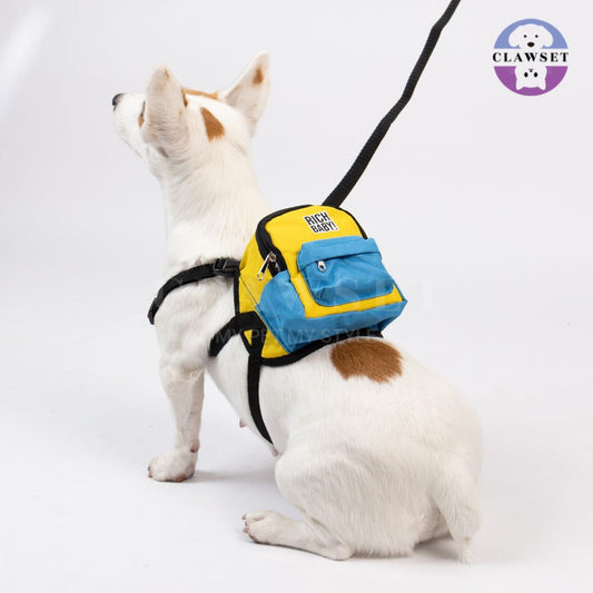 Clawset - Richy Bag - Bag with Leash Set (Tas Anjing & Kucing) - Yellow